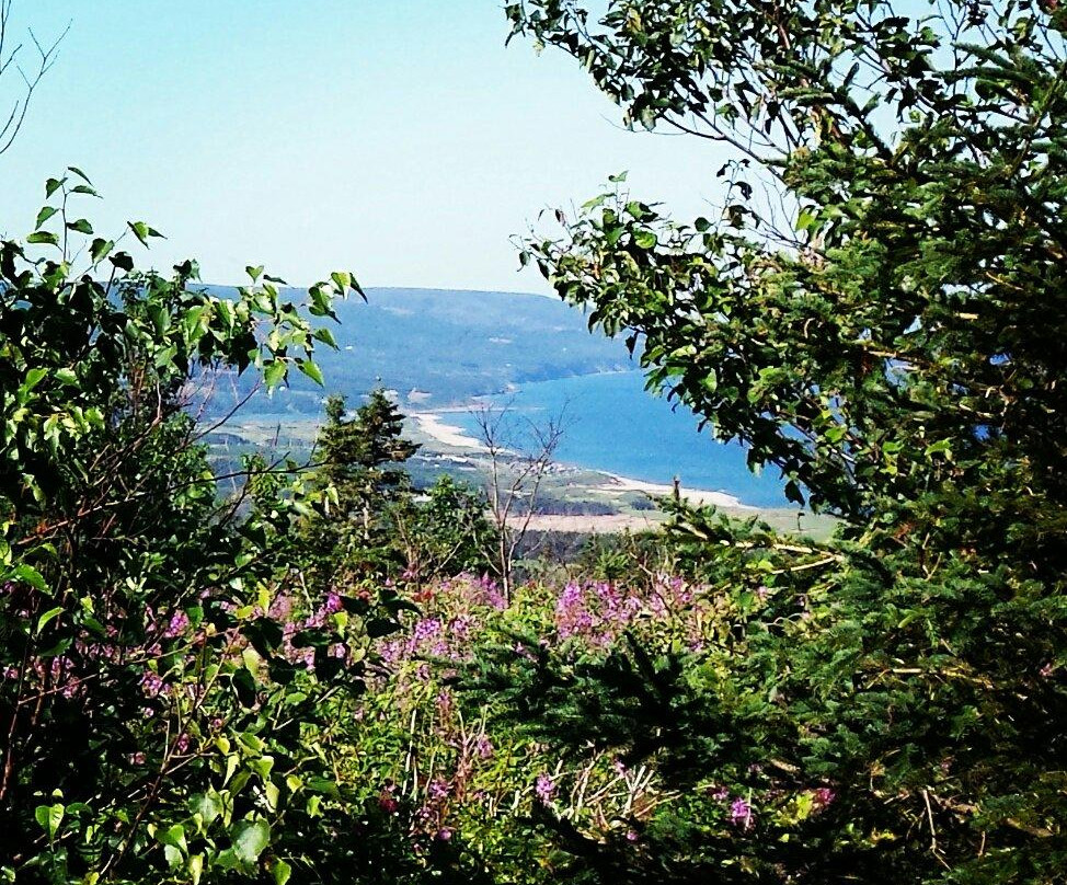 Broad Cove旅游攻略图片