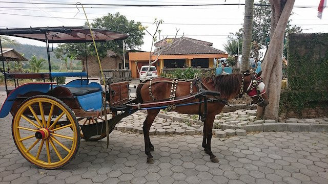 安缦吉沃度假村主图