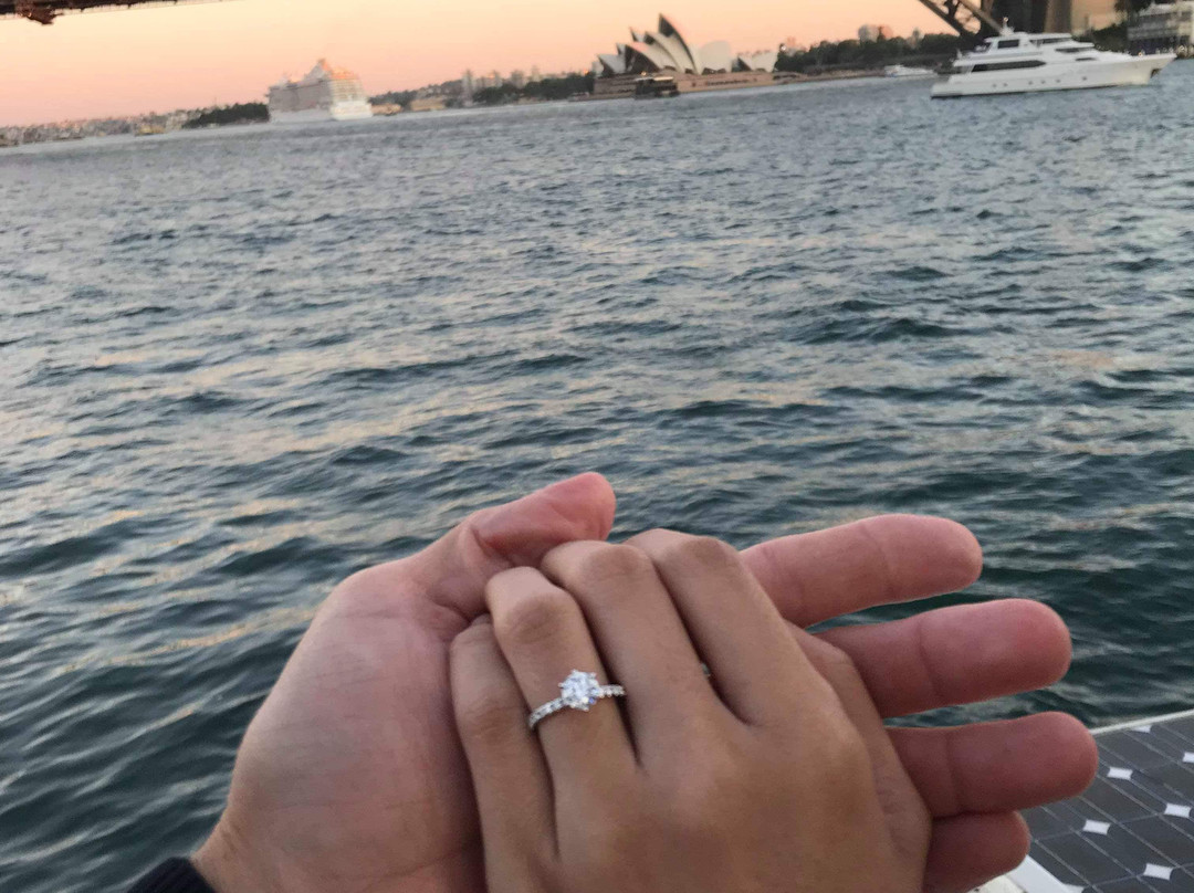 Sea Sydney Harbour-悉尼必去景点