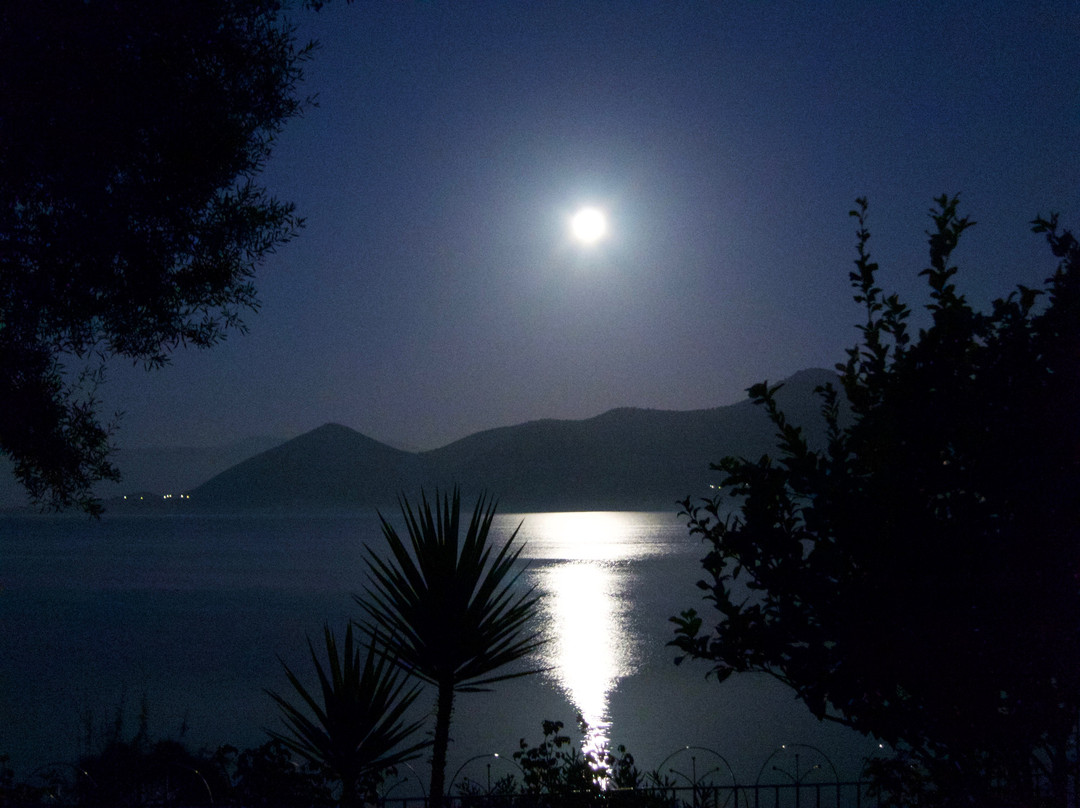 Cliff Bay Hotel主图