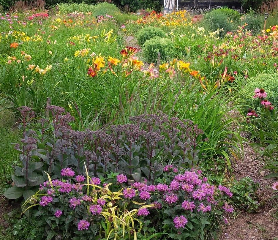 Douro-Dummer旅游景点-Gardens Plus