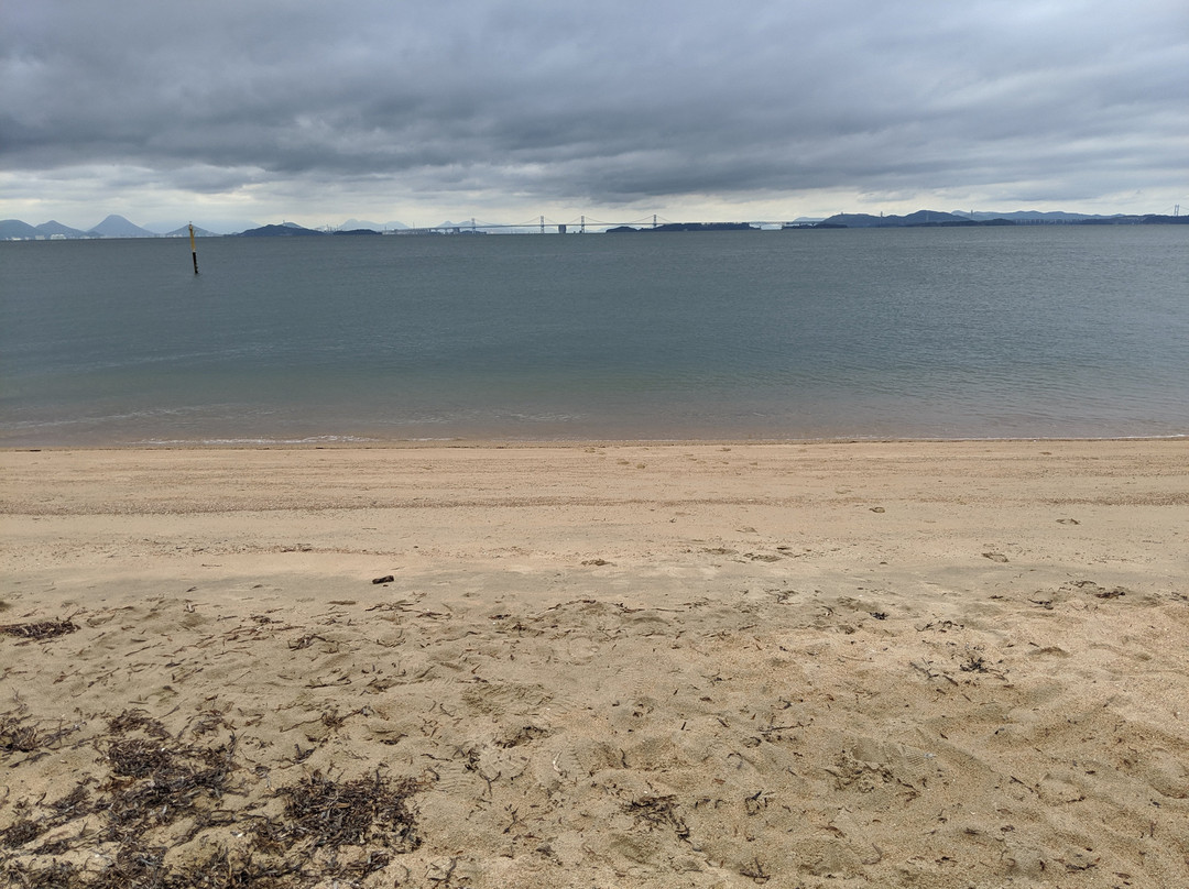 Shibukawa Coast景点图片