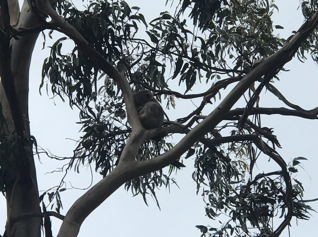 莱特基波汽车旅馆主图