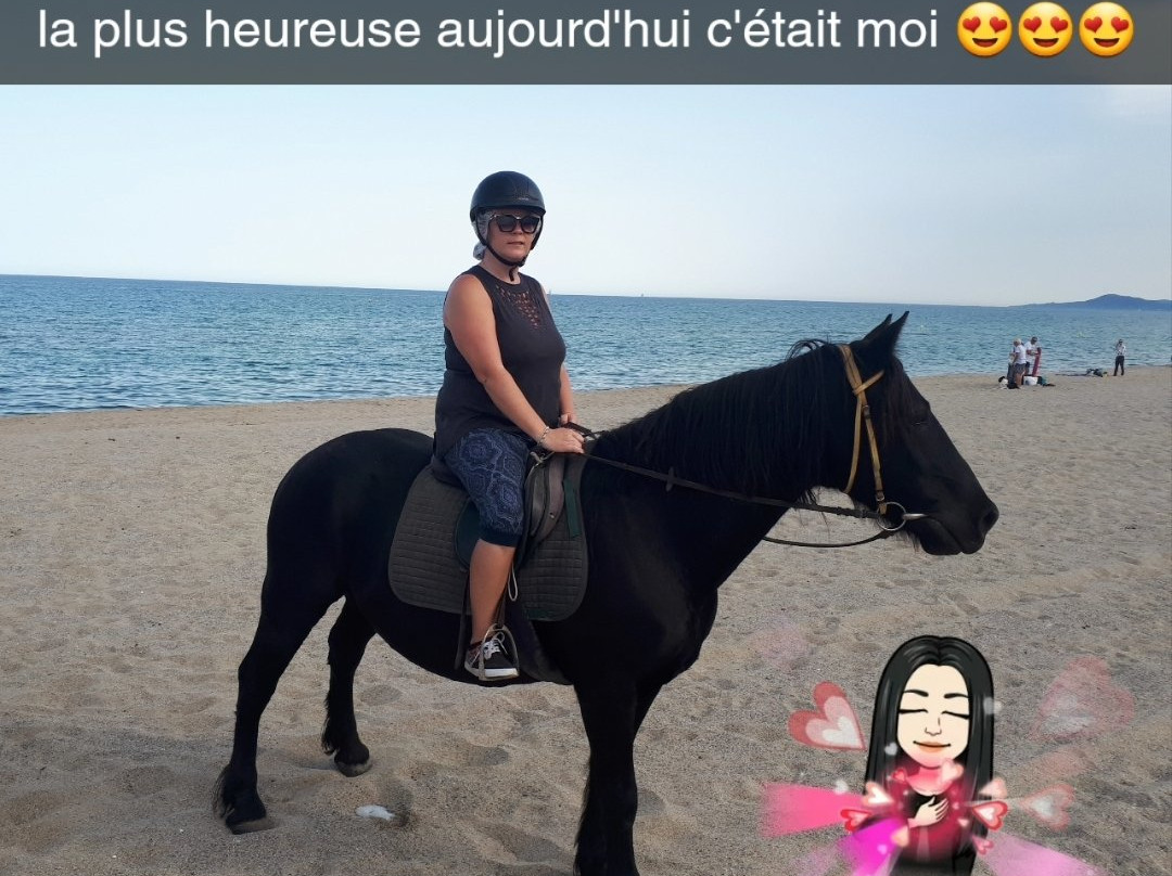 Le Cheval Andalou景点图片