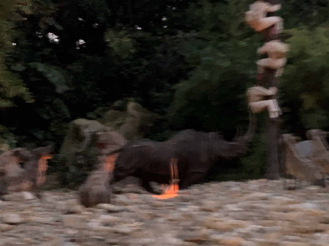 Jungle Cruise-阿纳海姆必去景点