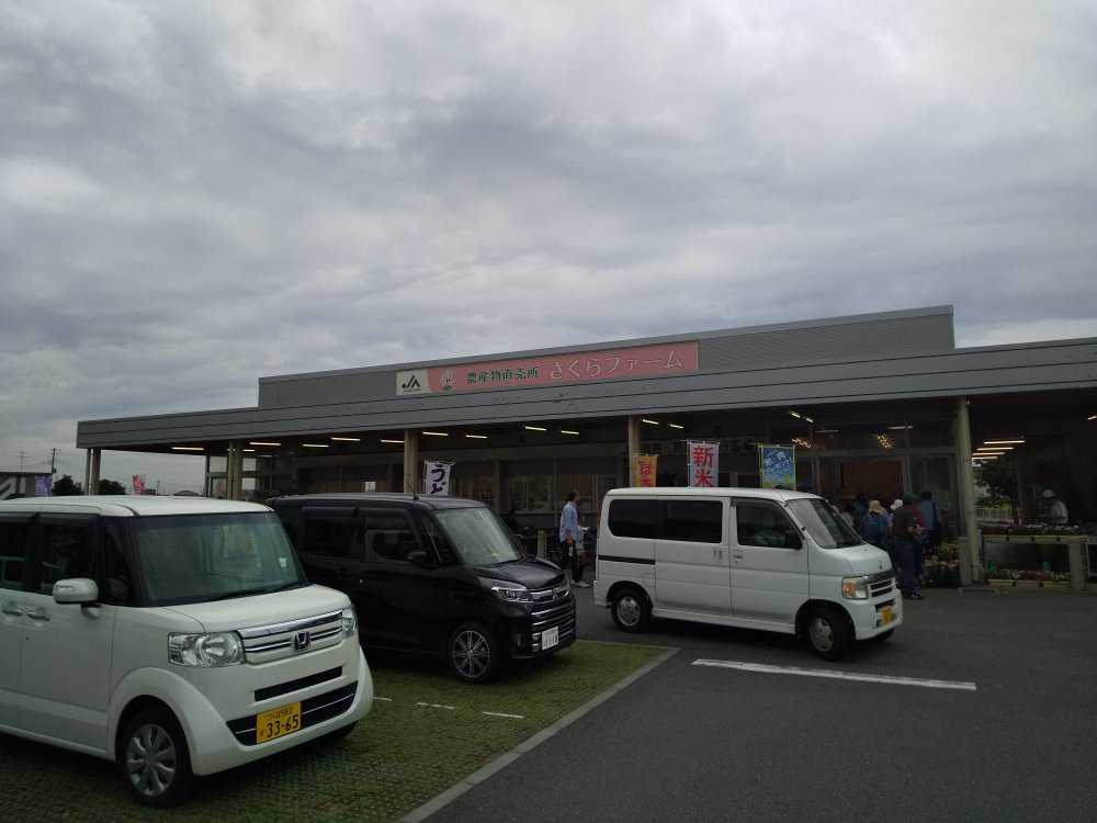 Sakura Farm-幸手市必去景点