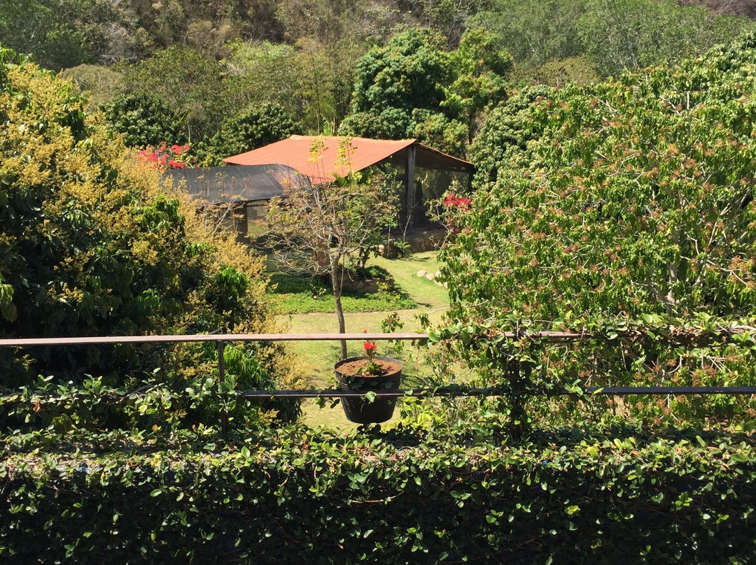 Vilaa Azalea Inn & Organic Farm Cooking Classes-瓦拉塔港必去景点