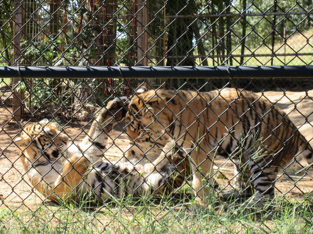 Tiger Creek Animal Sanctuary景点图片