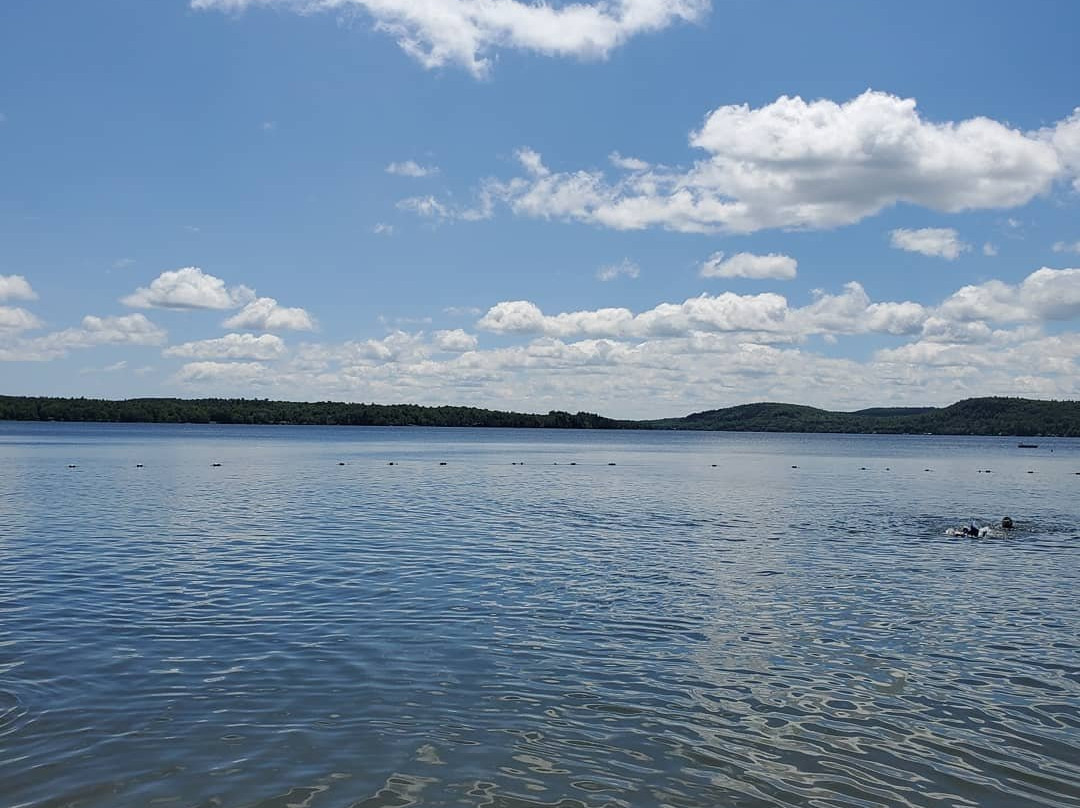 Swan Lake State Park-Swanville必去景点