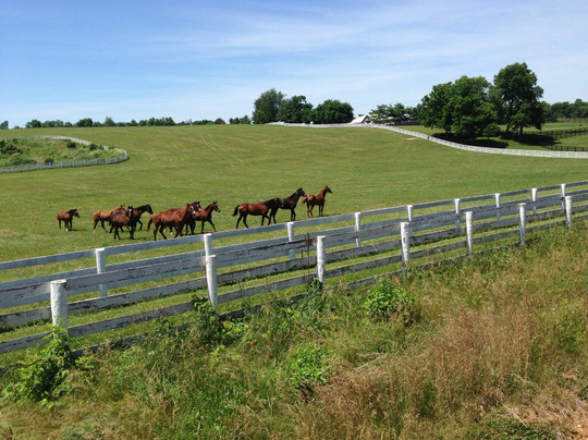 R. J. Corman Lexington Dinner Train