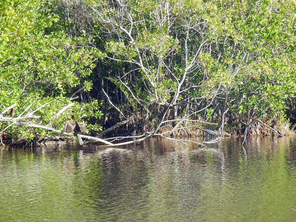 Nine Mile Pond Canoe Trail-大沼泽国家公园必去景点