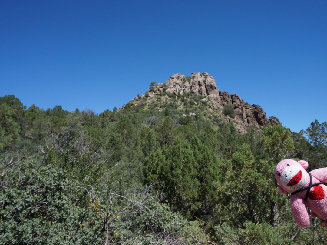 Thumb Butte Trail 33景点图片