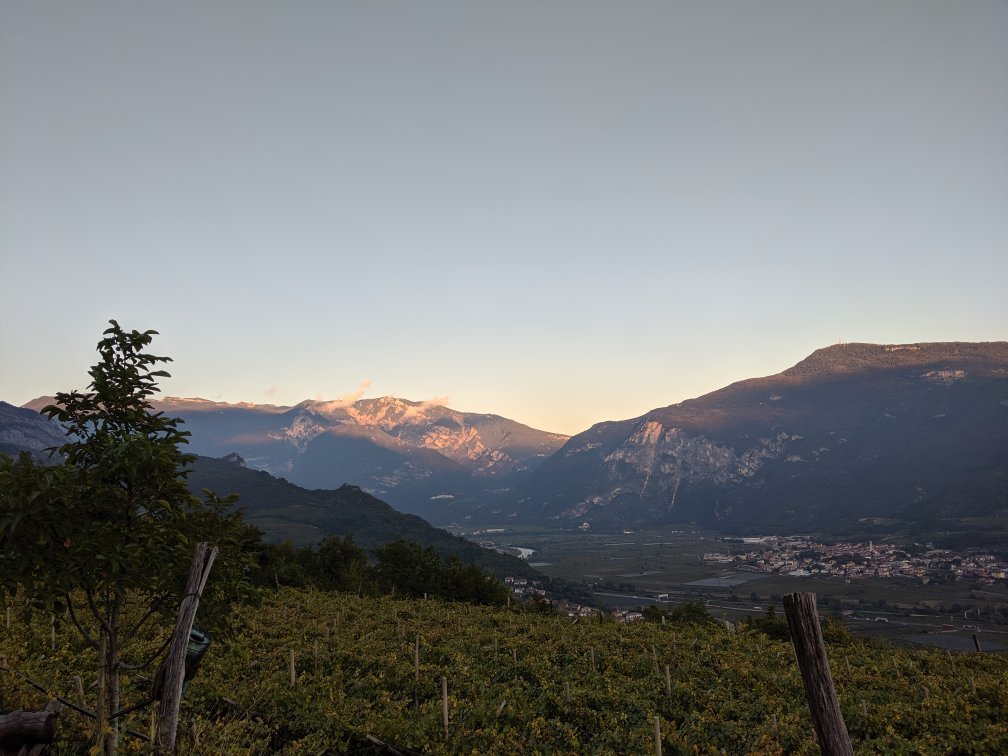 Agritur Le Pergole-官方