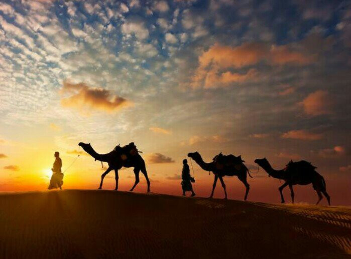 Kapil Thar Desert Camping景点图片
