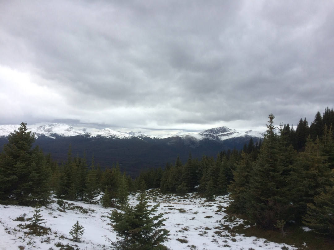 Opal Hills-贾斯珀必去景点