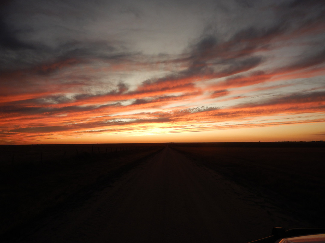 Starlight Motel主图