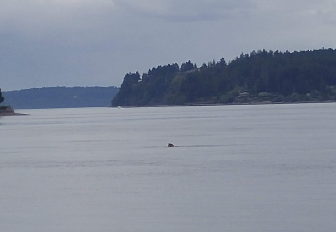 Titlow Park景点图片