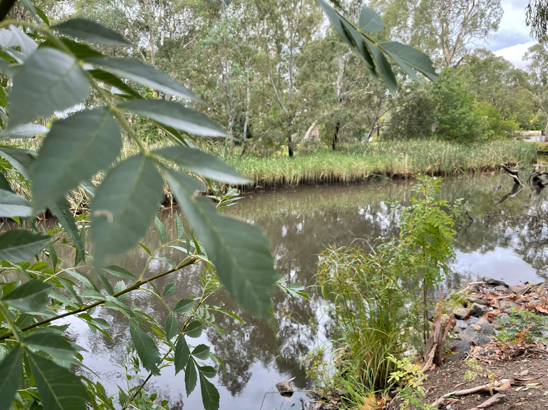 Hume & Hovell Monument景点图片