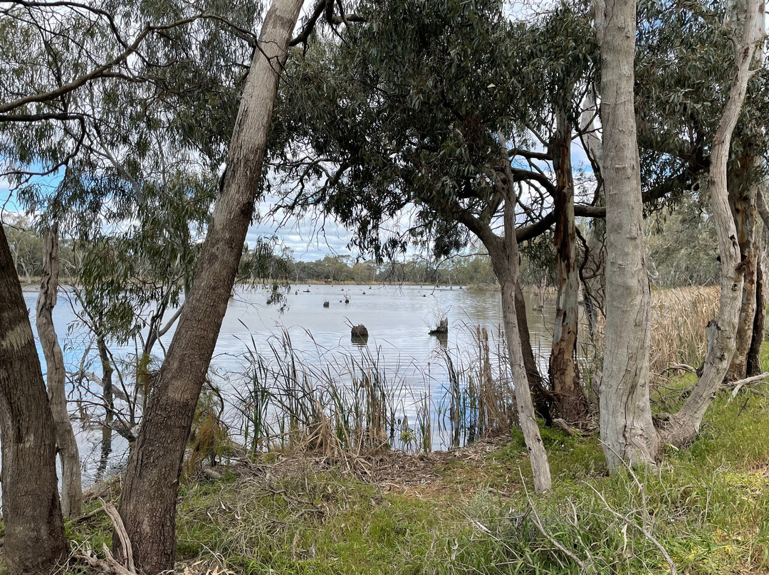 Upper Gunbower Lagoon