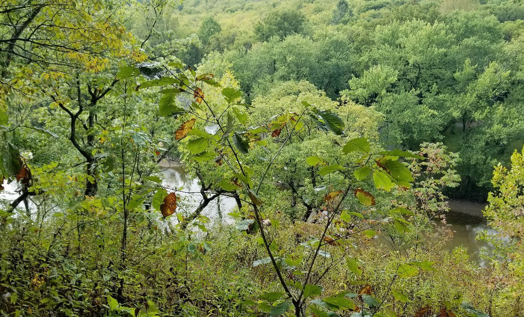Clegg Memorial Garden-拉斐特必去景点