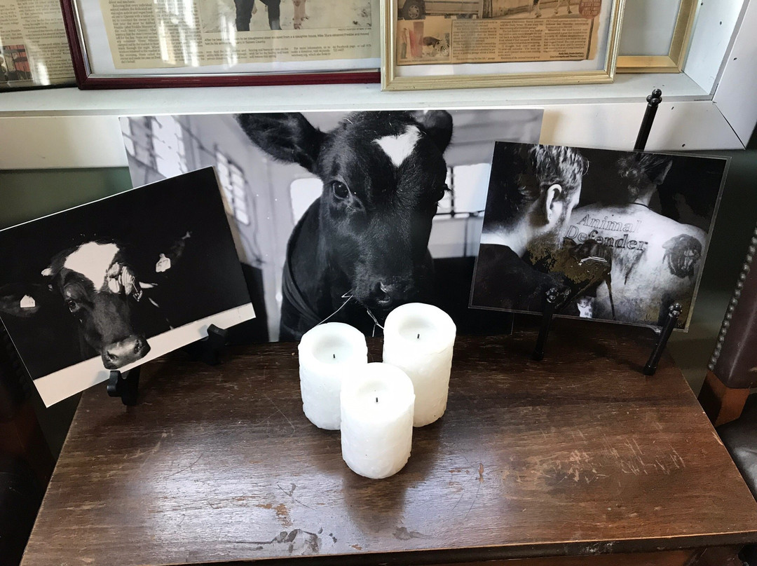 Skylands Animal Sanctuary And Rescue-Wantage必去景点