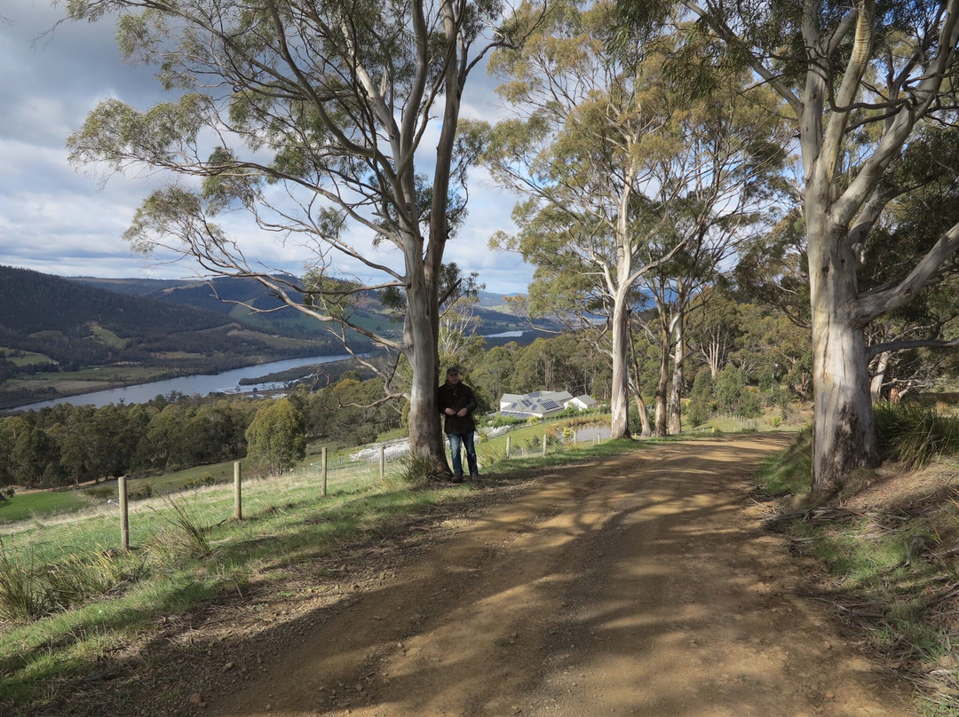 House on the Hill Country Bed and Breakfast主图