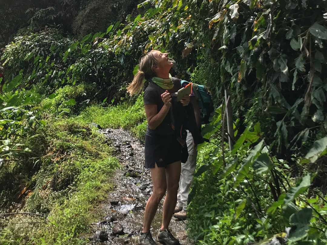 21 Rando Sud-圣亮必去景点