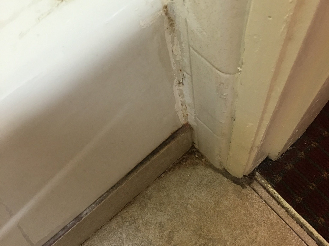 佩奇罗德威旅馆主图