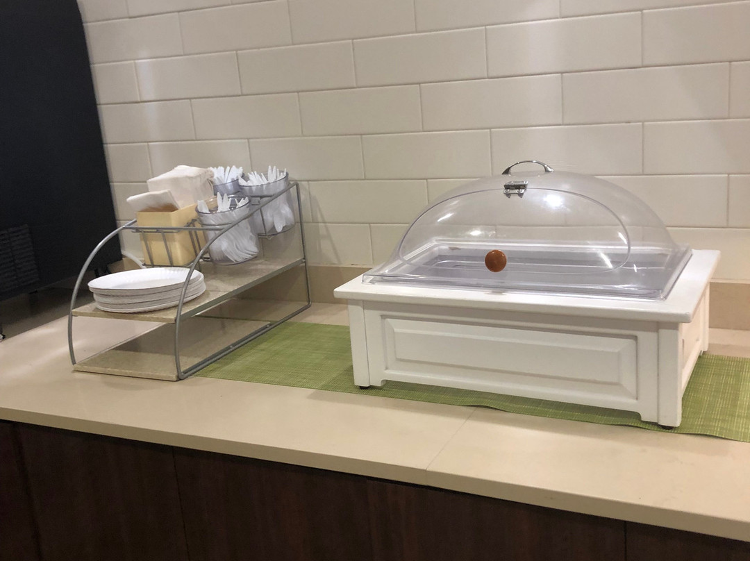 La Quinta Inn & Suites by Wyndham Durango主图