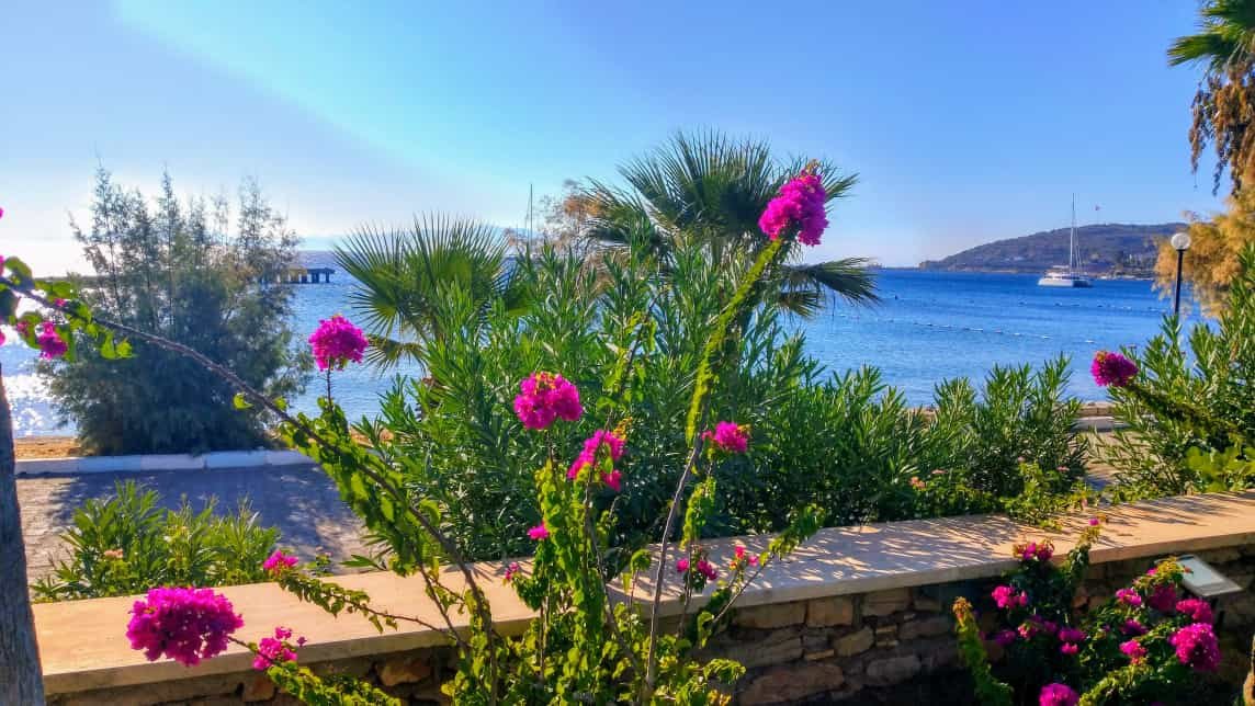 Hotel Mare Datca-泳池