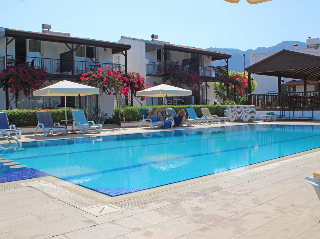 Citrus Tree Gardens主图