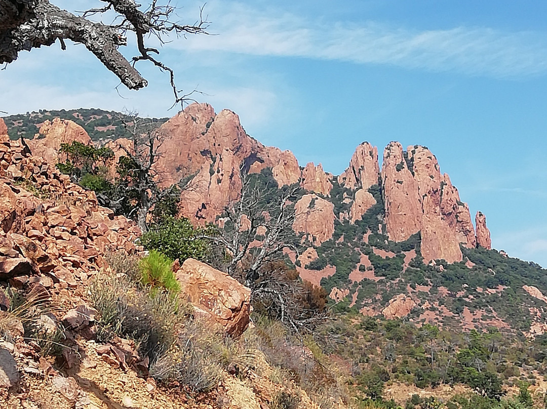 Massif de l'Esterel景点图片