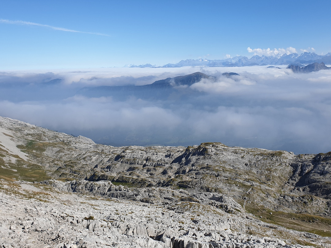 Berggasthaus Salwideli主图