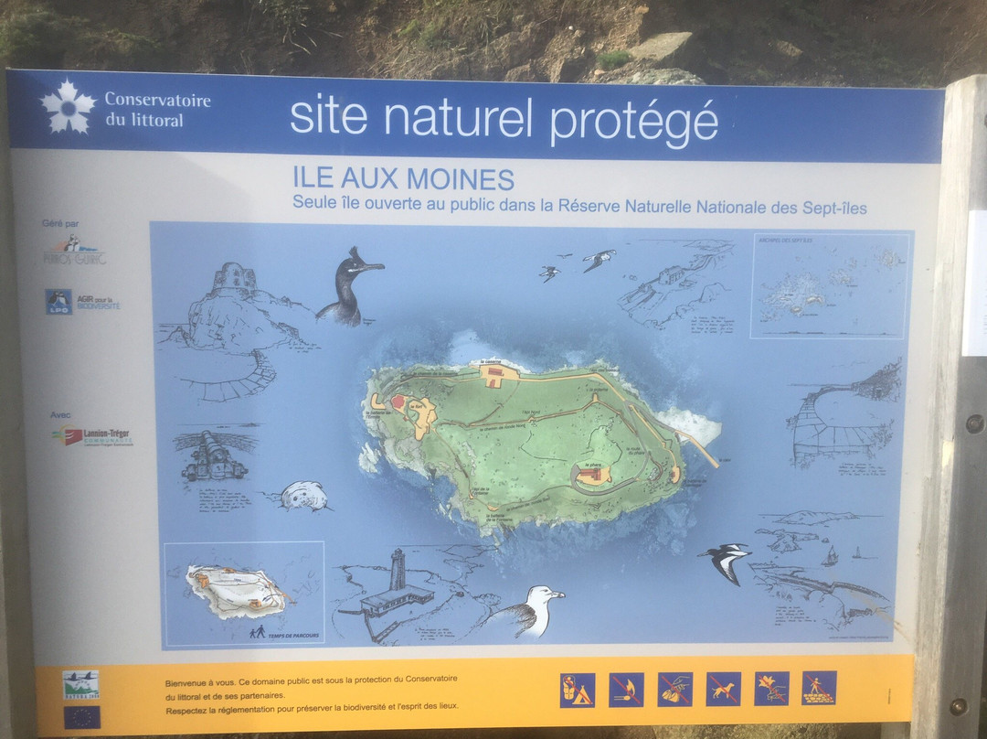 Réserve Naturelle des Sept Îles景点图片