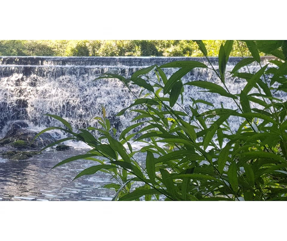 Warleigh Weir-Claverton必去景点