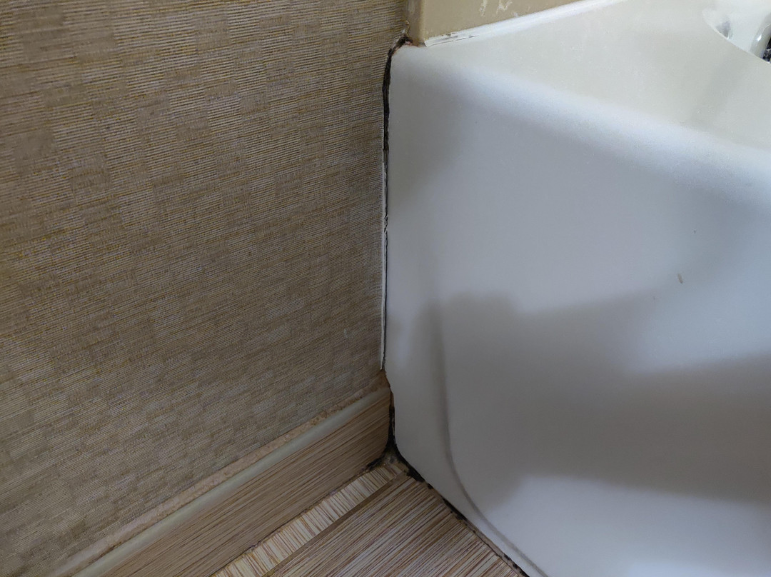 格拉茨帕斯快捷假日酒店主图