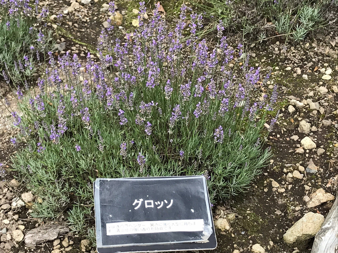 Tambara Kogen-沼田市必去景点