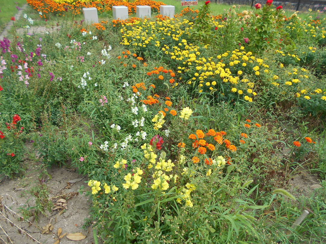 Ekimae Park-美里町必去景点