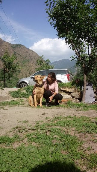 Trishla Resort主图