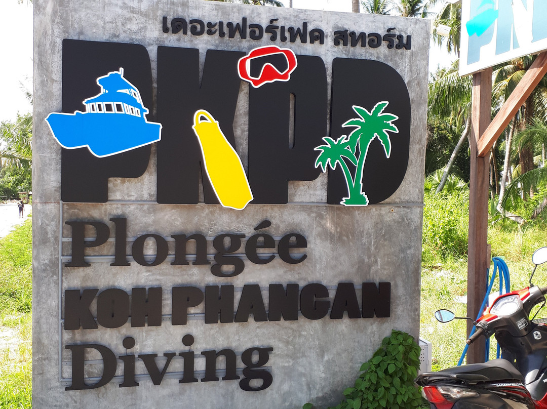 Plongee Koh Phangan Diving景点图片
