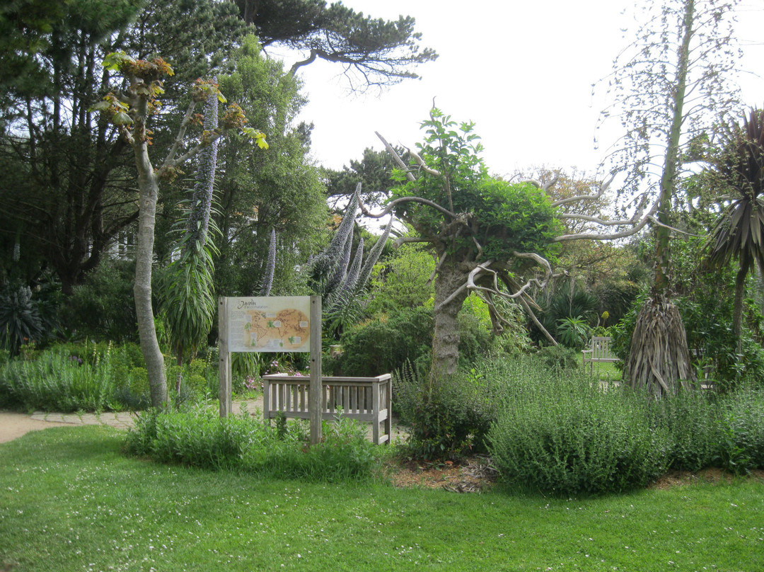 Jardin Botanique景点图片