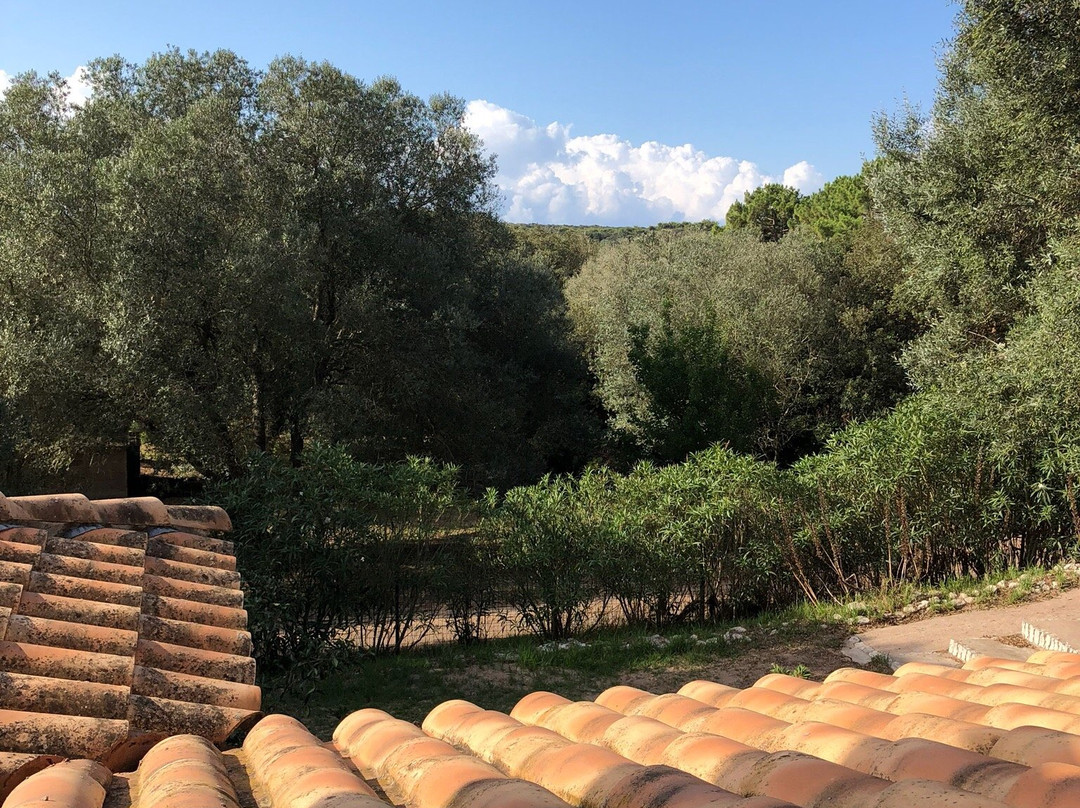 Residence A Trama主图