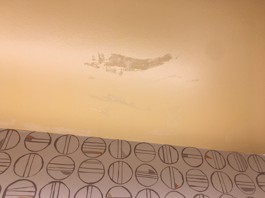 Holiday Inn Jonesboro By IHG主图