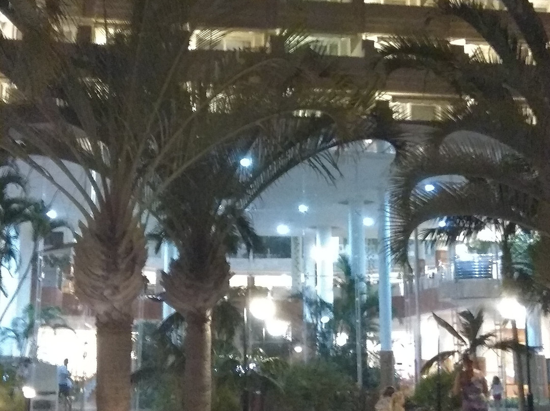 Hotel Playa La Arena主图