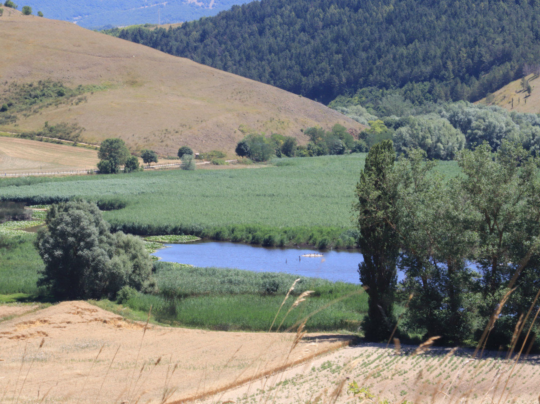 Parco Regionale di Colfiorito景点图片