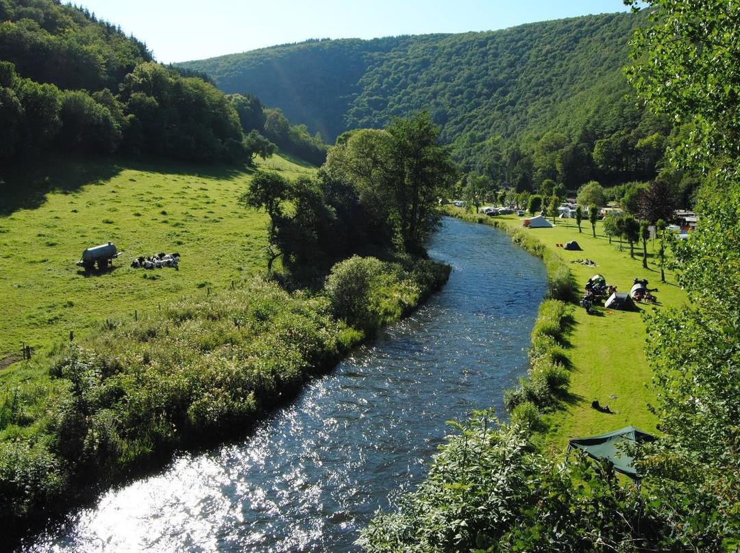 LeafMaxi - Camping du Nord