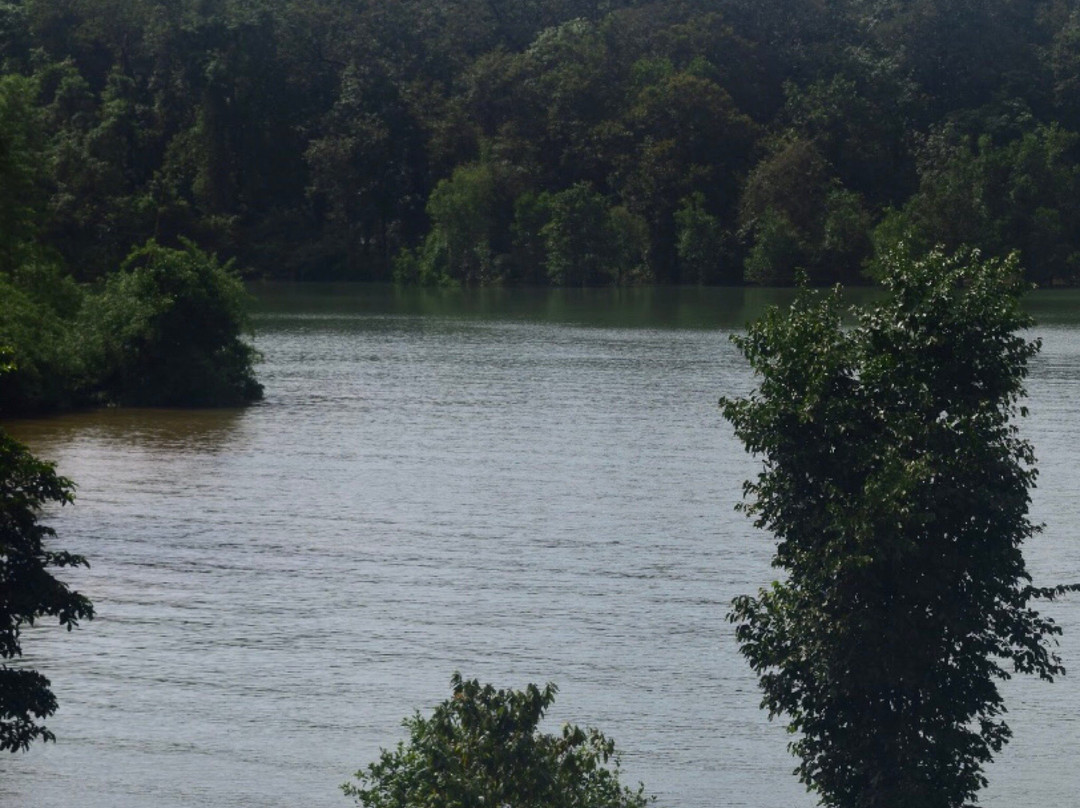 Dandeli Wildlife Sanctuary景点图片