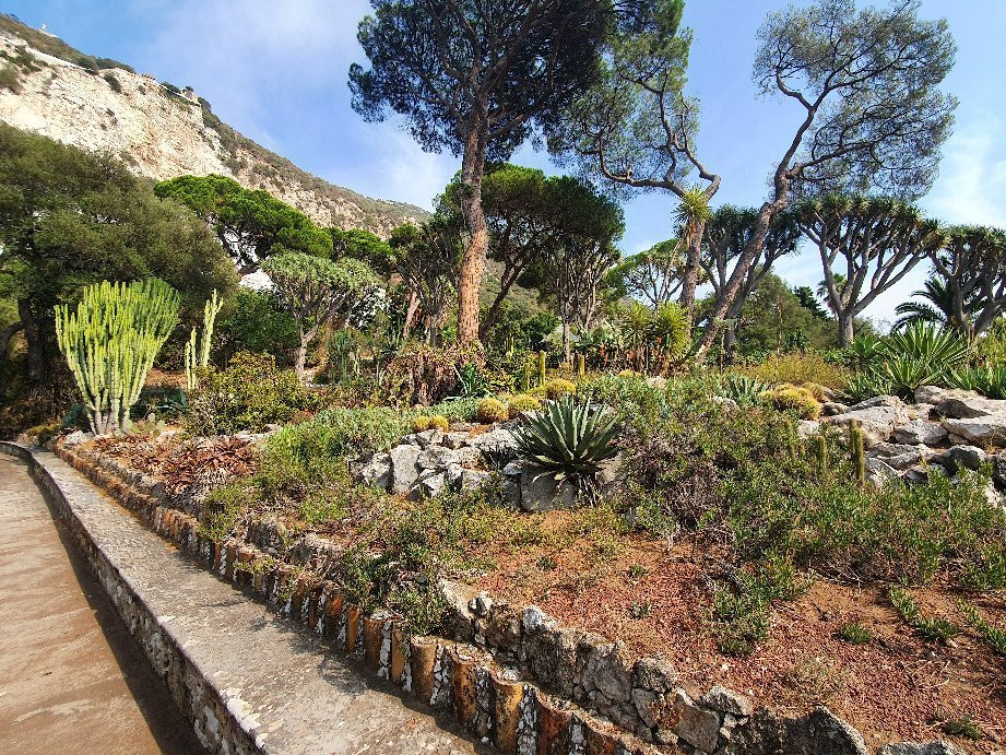 Gibraltar Botanic Gardens (The Alameda)景点图片