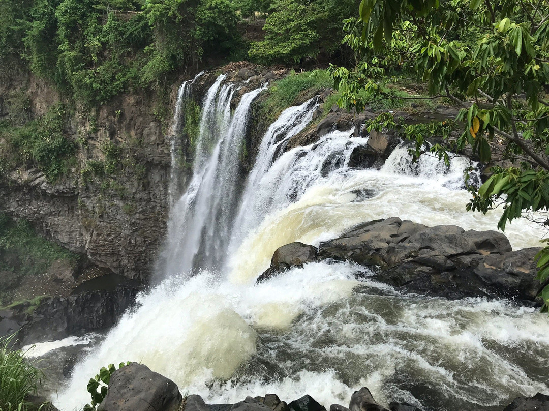 Salto de Eyipantla景点图片