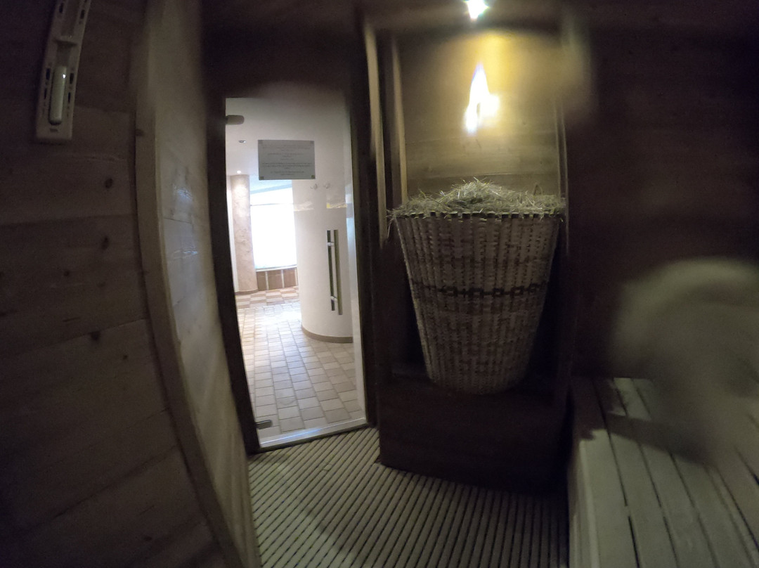 Hotel Adler主图